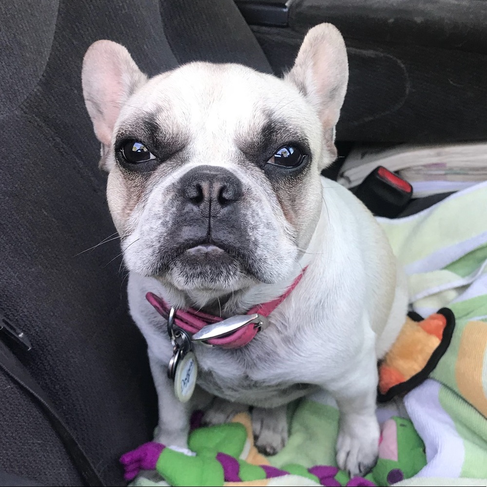 Meet your Posher, Vanessa